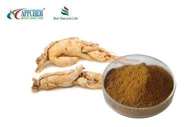 Bột chiết xuất nhân sâm Panax