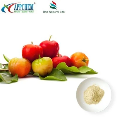 Bột chiết xuất Acerola Cherry