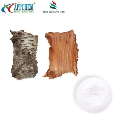 Bột Betulin 95