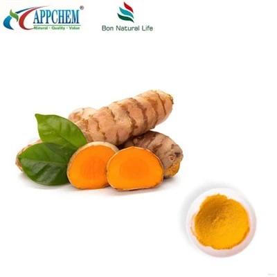 Bột curcumin hplc95%; Curcuminoids; Chiết xuất nghệ