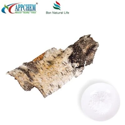 Bột Betulin tự nhiên