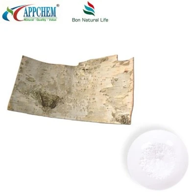Bột vỏ cây bạch dương Betulin