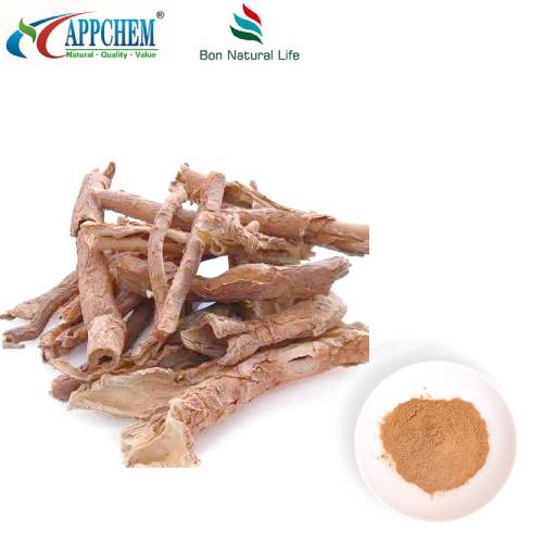 Chiết xuất Acanthopanax Senticosus
