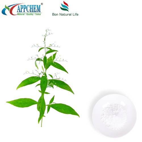 Andrographis Paniculata Chiết xuất Andrographolide