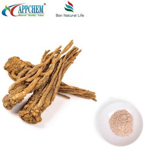 Bột chiết xuất Angelica Sinensis
