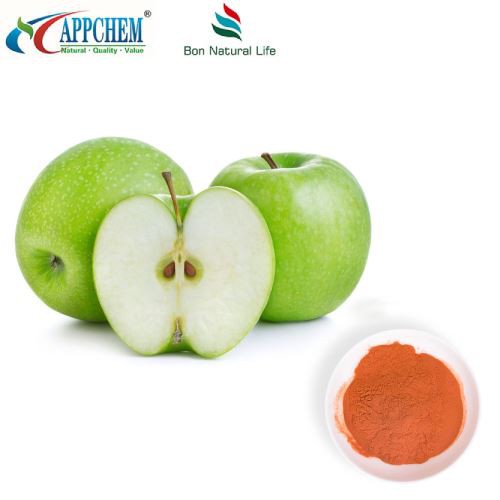 Nhà máy sản xuất bột Polyphenol của Apple