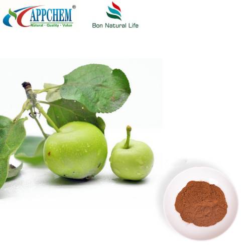 Sản phẩm được cấp bằng sáng chế về bột Apple Polyphenol UV70%