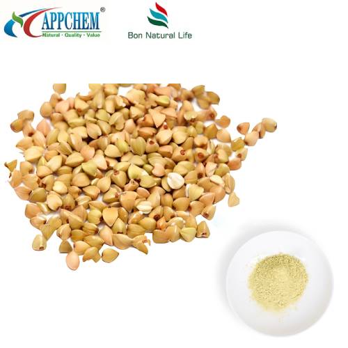 Chiết xuất kiều mạch
