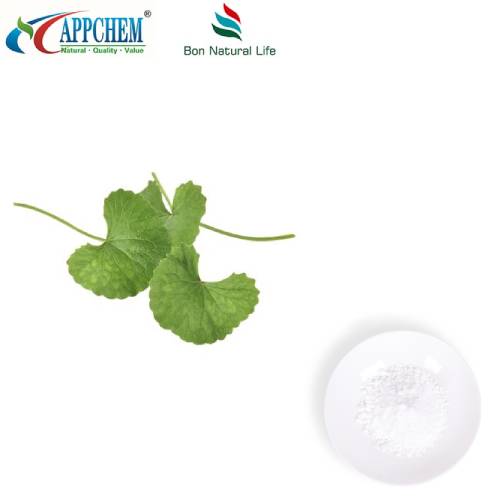 Bột chiết xuất Centella Asiatica