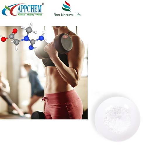 Bột số lượng lớn Creatine Monohydrate