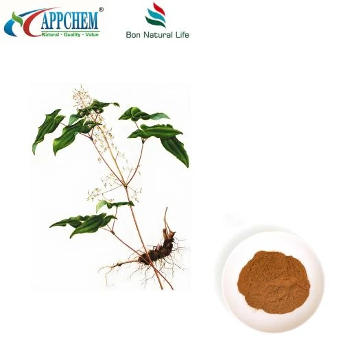 Bột chiết xuất Epimedium