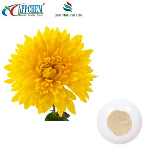 Chiết xuất Flos Chrysanthemi