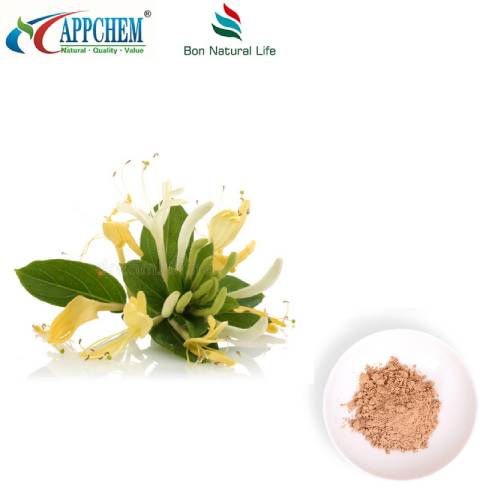 Bột chiết xuất Flos Lonicerae