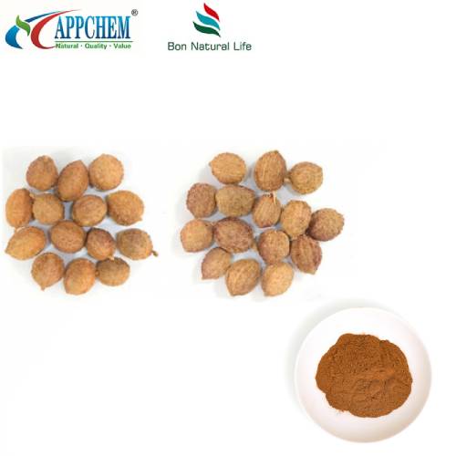 Chiết xuất quả Amomi