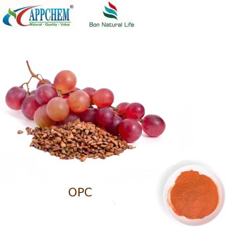 Chiết xuất hạt nho 95 OPC