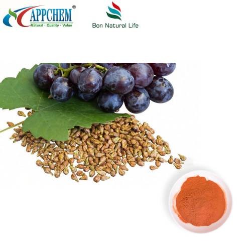 Bột chiết xuất hạt nho tiêu chuẩn
