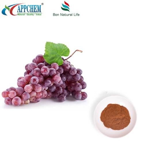 Bột chiết xuất vỏ nho