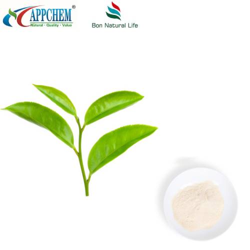 Chiết xuất trà xanh L{0}}Theanine