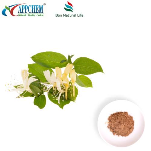 Bột chiết xuất hoa kim ngân