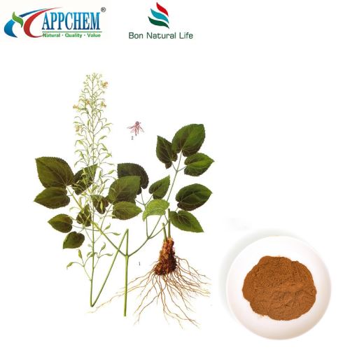 Bột cỏ sừng dê