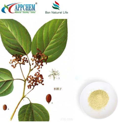 Bột chiết xuất Hovenia Dulcis