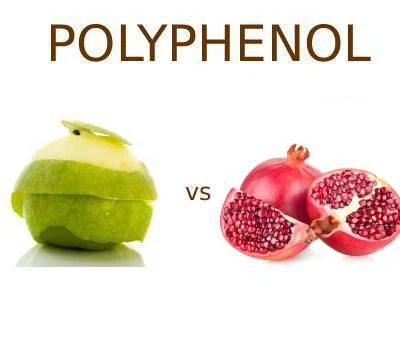 Polyphenol của Apple và Polyphenol từ lựu: Loại nào đáp ứng tốt hơn nhu cầu v...