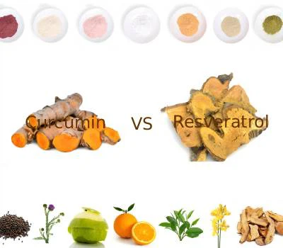Curcumin vs Resveratrol: Polyphenol nào mang lại giá trị chức năng cao hơn?