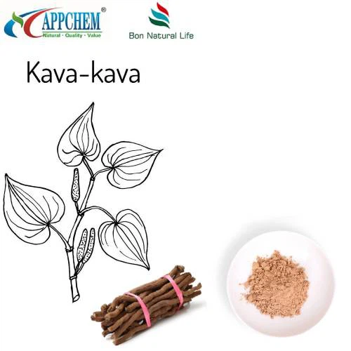 Chiết xuất Kava