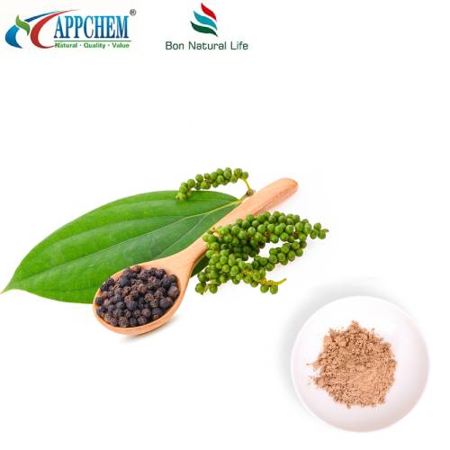 Bột chiết xuất trái cây Ligustrum