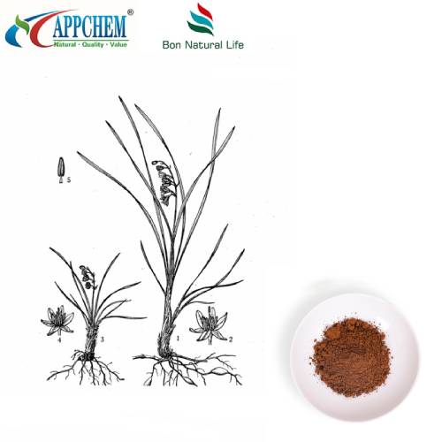 Chiết xuất rễ Lilyturf