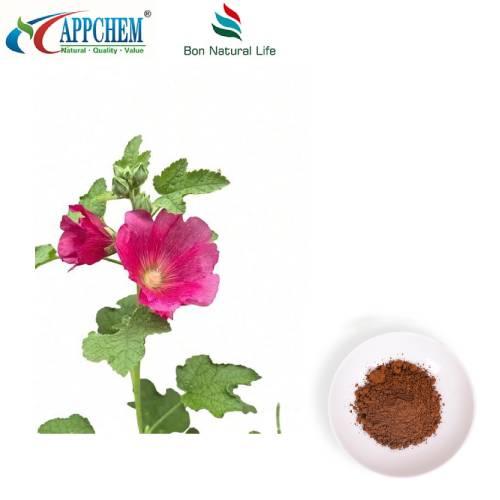 Chiết xuất lá Marshmallow