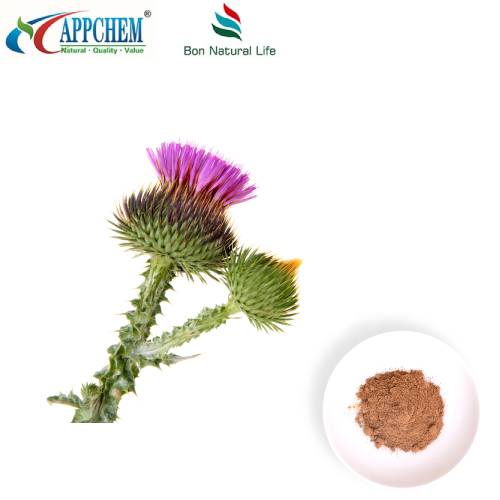 Chiết xuất hạt kế sữa