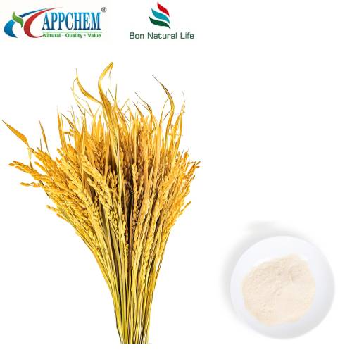 Bột axit Ferulic tự nhiên