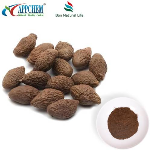 Chiết xuất Semen Sterculiae Lychnophorae tự nhiên