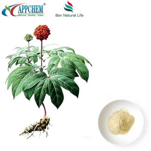 Chiết xuất Notoginseng Radix et Rhizoma