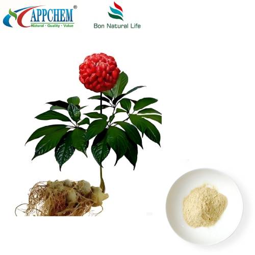 Chiết xuất rễ Notoginseng