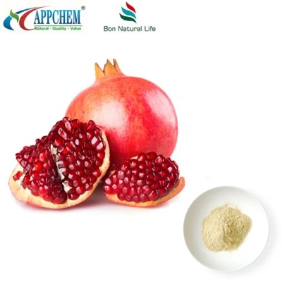 Chiết xuất quả lựu axit Ellagic