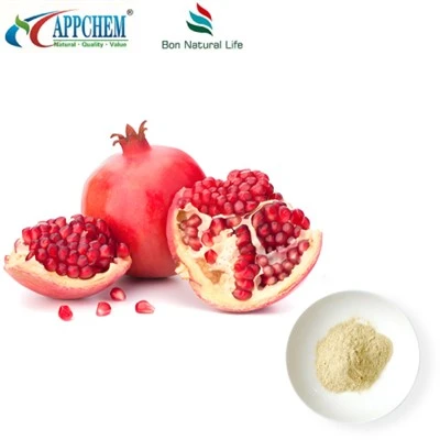 Bột axit Ellagic