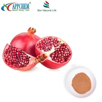 Bột chiết xuất lựu