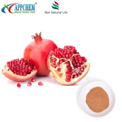 Chiết xuất lựu Punicalagin