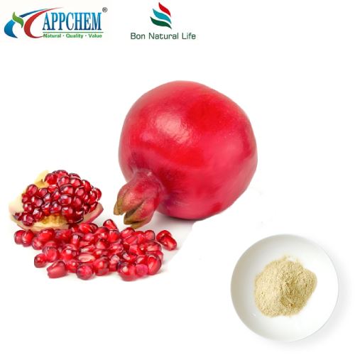 Bột chiết xuất vỏ lựu Cung cấp số lượng lớn