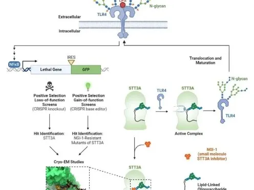 NF-B-496-372 NF-B-496-372