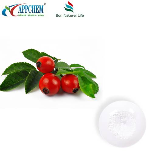 Bột Arbutin nguyên chất