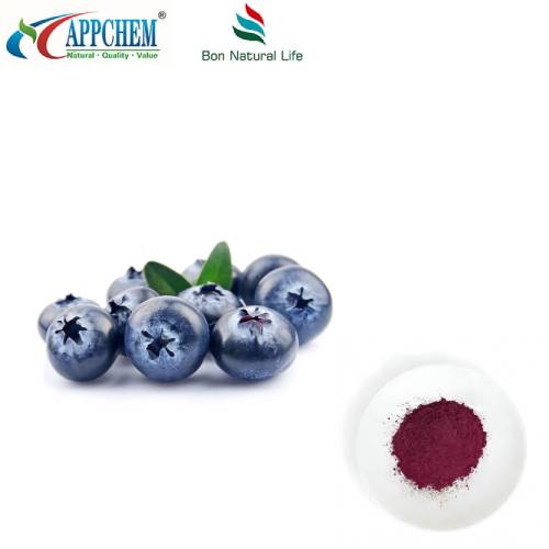 Bột chiết xuất quả việt quất nguyên chất