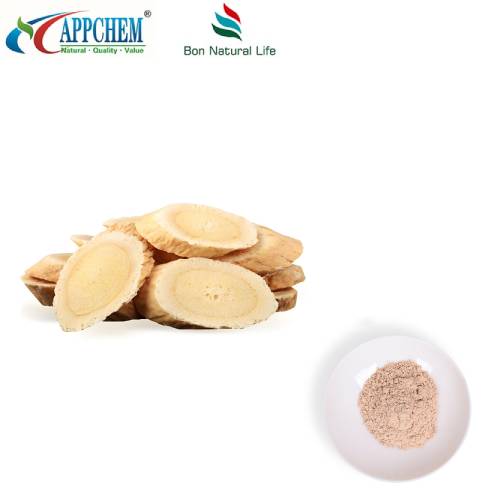 Chiết xuất Radix Astragali