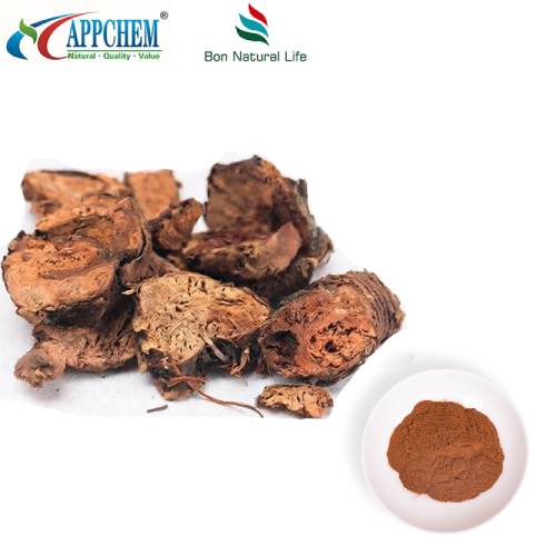 Bột chiết xuất Rhodiola Rosea