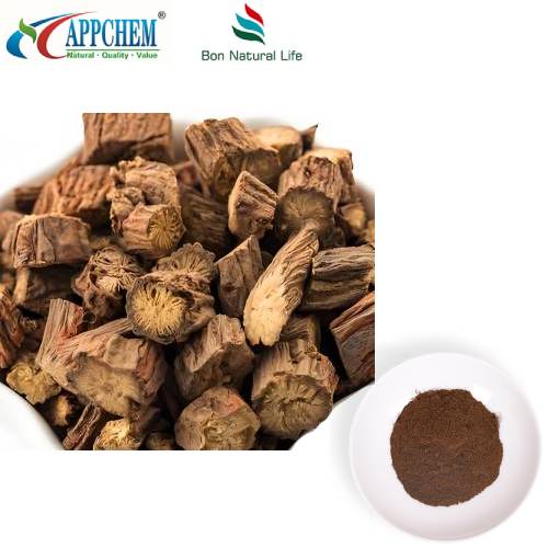 Bột chiết xuất Salvia Miltiorrhiza
