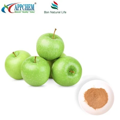 Bột chiết xuất táo Procyanidin B2 còn hàng