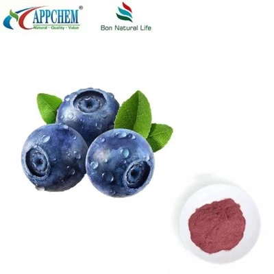 Bột nước ép việt quất