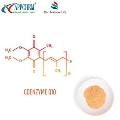 Bột Coenzyme Q10